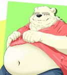  2022 anthro belly big_belly black_nose bottomwear clothed clothing clothing_lift hi_res humanoid_hands kemono male mammal mature_male navel overweight overweight_male pants shirt shirt_lift simple_background solo topwear ursid yanununununu 