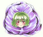  1girl :&gt; blush cabbage kazami_yuuka looking_at_viewer nemonadi red_eyes short_hair simple_background solo touhou v-shaped_eyebrows white_background 