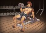  abs absurd_res anthro biceps bodily_fluids boxers_(clothing) bulge canid canine canis clothed clothing collar digital_media_(artwork) domestic_dog fur german_shepherd gym hair herding_dog hi_res male mammal muscular muscular_anthro muscular_male pastoral_dog simple_background solo teinwilde underwear 