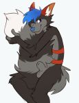  alexthefoxcoon anthro blue_eyes blue_hair hair harlem harness hi_res male solo tail_between_legs tail_hug 