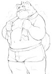  2013 anthro belly big_belly blush canid canine canis clothing domestic_dog humanoid_hands kemono magumataishi male mammal overweight overweight_male solo towel towel_around_neck underwear 