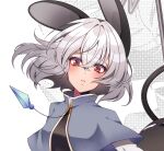  1girl animal_ears bangs breasts capelet crystal dress eyebrows_visible_through_hair face grey_capelet grey_dress grey_hair jewelry kamenozoki_momomo looking_at_viewer mouse_ears mouse_girl mouse_tail nazrin necklace parted_lips pendant red_eyes short_hair small_breasts solo tail touhou upper_body 