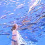  1girl amei_zhao animal blue_eyes brown_hair caustics closed_mouth commentary day english_commentary floating_hair light_rays long_hair looking_away looking_up nature original scenery school_of_fish see-through shirt sleeveless sleeveless_shirt solo submerged underwater upper_body very_long_hair white_shirt 