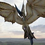  3d_(artwork) blender_(software) blender_cycles capcom digital_media_(artwork) dragon erection feral flying flying_wyvern genitals hi_res integlol legiana male monster_hunter penis presenting presenting_belly presenting_penis rendered solo solo_focus video_games wings wyvern 