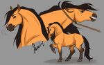  2022 ambiguous_gender dreamworks equid equine feral hair hooves horse huskii-s mammal rope sketch solo spirit:_stallion_of_the_cimarron spirit_(cimarron) 