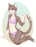  2022 anthro bikini clothing digital_media_(artwork) domestic_cat felid feline felis female fur gradient_background grey_body grey_fur mammal navel purple_eyes simple_background smile solo swimwear white_body white_fur yshanii 