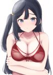  1girl :t absurdres arms_under_breasts bikini black_hair breasts cleavage closed_mouth commentary crossed_arms eyebrows_visible_through_hair front-tie_bikini front-tie_top grey_eyes highres large_breasts light_blush long_hair looking_at_viewer love_live! love_live!_nijigasaki_high_school_idol_club one_side_up pout red_bikini simple_background solo sunya_(honorin-yuunibo) swimsuit tsurime upper_body white_background yuuki_setsuna_(love_live!) 