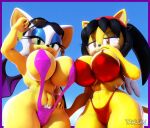  3d_(artwork) anthro big_breasts bikini breast_to_breast breasts chiropteran clothing digital_media_(artwork) domestic_cat duo felid feline felis female hi_res honey_the_cat mammal pubes rouge_the_bat sega sling_bikini smile sonic_the_fighters sonic_the_hedgehog_(series) swimwear tahlian wide_hips 