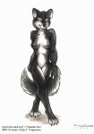  1998 amara_telgemeier anthro black_body black_fur breasts canid canine female fur mammal nipples nude pinup pose solo solo_focus traditional_media_(artwork) 