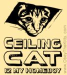  ambiguous_gender ceiling ceiling_cat english_text felid feline feral fur low_res mammal meme monochrome simple_background solo tan_background text thumbnail unknown_(disambiguation) unknown_artist url 