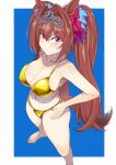  1girl animal_ears bangs barefoot bikini blue_background blue_scrunchie blush border bow breasts brown_hair brown_tail cleavage collarbone commentary_request daiwa_scarlet_(umamusume) ear_bow feet gold_bikini hair_between_eyes hair_intakes hair_ornament hair_scrunchie hands_on_hips highres horse_ears horse_girl horse_tail large_breasts long_hair looking_at_viewer navel outside_border red_bow red_eyes scrunchie sideboob simple_background slit_pupils solo strap_gap string_bikini swimsuit tail thighs tiara toes twintails umamusume v-shaped_eyebrows very_long_hair white_border zasshu_nigou 
