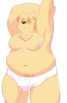  2022 anthro belly big_belly bulge canid canine canis clothing cu_sith_(tas) domestic_dog eyes_closed genital_outline hi_res kemono lifewonders male mammal moobs navel nipples overweight overweight_male penis_outline pon_ju_su050822 solo stretching tokyo_afterschool_summoners underwear video_games 