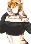  absurd_res anthro arknights big_breasts breasts choker clothed clothing digital_media_(artwork) felid female fingers fur hair hi_res hypergryph jewelry long_hair looking_at_viewer mammal midriff multicolored_body multicolored_fur multicolored_hair mx99926 navel necklace orange_body orange_fur orange_hair pantherine shirt simple_background smile solo studio_montagne tiger topwear video_games waaifu_(arknights) white_body white_fur white_hair yellow_eyes 