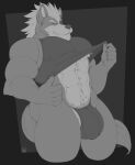  abs anthro body_hair bulge happy_trail hi_res looking_at_viewer male mkvero muscular muscular_male nintendo nipples pubes solo star_fox video_games wolf_o&#039;donnell 
