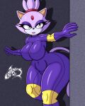  absurd_res anthro big_breasts blaze_the_cat breasts clothed clothing domestic_cat felid feline felis female fur hi_res mammal purple_body purple_fur renegade-157 sega solo sonic_the_hedgehog_(series) thick_thighs tight_clothing 