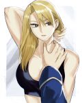  1girl arm_behind_head arm_up bangs bare_shoulders black_tank_top blonde_hair border breasts brown_eyes cleavage closed_mouth collarbone crop_top expressionless eyelashes fullmetal_alchemist grey_background hair_between_eyes hair_lift hand_on_another&#039;s_neck highres holding holding_hair large_breasts long_sleeves looking_away out_of_frame ozaki_(tsukiko3) pov pov_hands riza_hawkeye roy_mustang scar scar_on_hand scar_on_neck sideways_glance solo_focus sports_bra tank_top upper_body white_border 