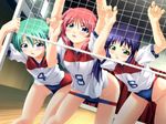  bent_over buruma buruma_pull doki_doki_sister_paradise_2 gym_uniform hanezaki_tsubasa hinata_miyuki izumi_mahiru jpeg_artifacts multiple_girls pussy_juice take_your_pick volleyball volleyball_net 