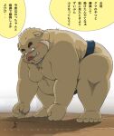  2022 anthro asian_clothing belly big_belly blush brown_body canid canine clothing dekatanu duo east_asian_clothing hi_res humanoid_hands japanese_clothing japanese_text kemono macro male mammal mawashi moobs overweight overweight_male size_difference suid suina sumo sumo_ring sus_(pig) text wild_boar 