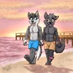  2022 anthro beach boxers_(clothing) canid canine clothing duo gaokun hand_holding hi_res male mammal navel outside pawpads pier seaside underwear 