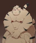  2022 5:6 anthro belly big_belly blush bodily_fluids cum duo ejaculation eyes_closed felid genital_fluids hi_res kemono male mammal moobs navel nipples overweight overweight_male pantherine pink_nose pomupomu490 sweat tiger white_body 