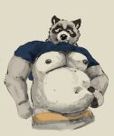  2022 anthro belly big_belly censlas clothed clothing clothing_lift grey_body hi_res humanoid_hands male mammal moobs navel nipples overweight overweight_male procyonid raccoon shirt shirt_lift simple_background solo topwear underwear 