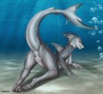  anthro anus breasts clothing featureless_breasts female fish genitals hi_res looking_at_viewer marine non-mammal_breasts nude pussy redraptor16 shark smile solo underwear 