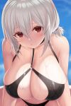  1girl absurdres asamura_hiori azur_lane bangs bare_shoulders bikini black_bikini blue_sky blush breasts cleavage collarbone day hair_between_eyes highres large_breasts leaning_forward looking_at_viewer low_twintails o-ring o-ring_bikini official_alternate_costume outdoors red_eyes short_hair short_twintails sidelocks sirius_(azur_lane) sirius_(scorching-hot_seirios)_(azur_lane) sky solo swimsuit twintails wet white_hair 