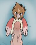  ambiguous_gender avian bird bodily_fluids brown_body brown_feathers cum cum_on_face feathers ferrissimulator foot_fetish genital_fluids genitals humanoid_genitalia humanoid_penis nintendo pawjob penis pok&eacute;mon pok&eacute;mon_(species) red_body red_feathers size_difference spearow tagme talonjob talons video_games 