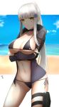  1girl absurdres alternate_costume bangs beach bikini black_bikini black_swimsuit breasts cleavage collarbone crossed_arms eyebrows_visible_through_hair feet_out_of_frame girls&#039;_frontline green_eyes hair_ornament hairclip highres hk416_(girls&#039;_frontline) holster jacket large_breasts long_hair looking_at_viewer navel ocean open_clothes open_jacket open_mouth parted_lips ponytail purple_jacket re1kirisaki342 simple_background solo standing stomach swimsuit teardrop_facial_mark teardrop_tattoo white_hair 