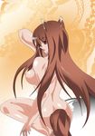  animal_ears breasts brown_hair highres holo large_breasts long_hair nipples nude solo spice_and_wolf tail torimochi wolf_ears wolf_tail 