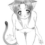  animal_ears blush breasts copyright_request cowboy_shot greyscale himadarou medium_breasts monochrome nipples nude pubic_hair solo tail 