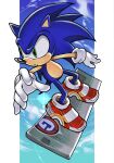  1boy animal_nose blue_sky furry furry_male green_eyes hungry_clicker male_focus parody sky solo sonic_(series) sonic_adventure_2 sonic_the_hedgehog style_parody uekawa_yuji_(style) 