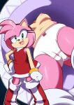  amy_rose anthro clothing euf-dreamer eulipotyphlan female hedgehog hi_res low-angle_view mammal panties sega solo sonic_the_hedgehog_(series) underwear upskirt 