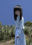  1girl absurdres bangs black_eyes black_hair blue_sky highres long_hair long_sleeves original outdoors plant sa1bi shirt skirt sky sleeves_past_wrists solo standing tree white_shirt white_skirt 