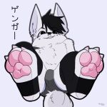  anthro arctic_fox bulge canid canine claws clothing dark_eyes fluffy fluffy_tail foot_fetish foot_play footjob footwear fox girly hi_res legwear male mammal nekosteck pawpads paws piercing sex smile socks solo stockings underwear worship 