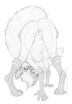  2022 anthro anus breasts butt butt_shot canid canine claws female fox fur genitals greyscale hair leg_markings looking_at_viewer mammal markings monochrome nipples pepper_(shinigamigirl) pussy red_fox shinigamigirl socks_(marking) solo 