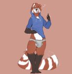 2022 ailurid anthro brown_body brown_fur bulge clothing fur hi_res hoodie hoodie_lift looking_at_viewer male mammal markings minedoo multicolored_body red_panda simple_background solo striped_markings striped_tail stripes tail_markings tongue tongue_out topwear underwear white_body white_fur 