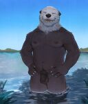  9klipse anthro balls eyes_closed flaccid genitals hi_res lutrine male mammal mustelid nipples nude penis pubes smile solo water whiskers 