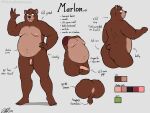  2022 5_fingers 5_toes absurd_res anthro anus backsack balls belly big_belly black_nose brown_bear brown_body brown_fur butt character_name chubby_anthro chubby_male color_swatch cute_fangs english_text erection fangs feet fiercedeitylynx fingers flaccid foreskin front_view fur genitals green_eyes hi_res humanoid_feet humanoid_genitalia humanoid_hands humanoid_penis male mammal marlon_(fiercedeitylink) model_sheet navel nipples nude penis perineum presenting presenting_hindquarters rear_view solo standing stretch_marks text toes ursid ursine 