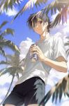  1boy ajiro_shinpei black_hair black_shorts blue_eyes brown_eyes can cloud cloudy_sky day heterochromia highres holding holding_can long_hair looking_at_viewer low_ponytail male_focus outdoors palm_tree shirt short_hair shorts sky soda_bottle soda_can summertime_render tree white_shirt xiaojiaju 