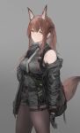  1girl absurdres animal_ears arknights bare_shoulders black_gloves black_jacket black_shirt black_shorts breasts brown_hair collared_shirt cowboy_shot extra_ears fox_ears fox_girl fox_tail franka_(arknights) gloves grey_background grey_necktie highres jacket legwear_under_shorts long_hair looking_at_viewer medium_breasts necktie off_shoulder official_alternate_costume open_clothes open_jacket pantyhose ponytail pouch shirt shorts sidelocks simple_background sleeveless sleeveless_shirt solo tail thigh_strap unitsu walkie-talkie yellow_eyes 