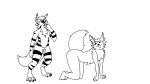  animated anthro blep canid canine cock_transformation dominant duo felid feline fennec fox genitals growth latex liquid lizard lynx male male/male mammal pawbs paws penis reptile scalie stripes symbiotic takeover text tongue tongue_out transformation translated vore witte_konijn 