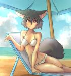  animal_humanoid beach beach_chair bikini breasts canid canid_humanoid canine canine_humanoid clothing detailed_background digital_media_(artwork) female fur hair hi_res humanoid looking_at_viewer mammal mammal_humanoid midriff navel outside sand seaside sky smile solo swimwear tinygaypirate umbrella water 