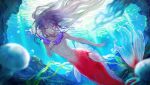  1boy animal blue_background blue_eyes bubble completely_nude fins floating_hair full_body head_fins highres jellyfish long_hair looking_at_viewer male_focus merman monster_boy multicolored_eyes nude open_mouth original purple_hair red_scales scales seaweed solo swimming underwater very_long_hair waterstaring yellow_eyes 