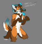  absurd_res anthro begging begging_pose blue_body blue_claws blue_ears blue_eyes blue_fur blue_horn blue_nose blue_pawpads blue_tail brown_body brown_ears brown_eyebrows brown_fur brown_head_tuft brown_tail cheek_tuft chest_tuft claws colored_sketch crotch_tuft elbow_tufts eyebrows facial_tuft fangs fur gloves_(marking) good_boy grey_background happy head_tuft hi_res horn knee_tuft knot leg_markings leg_tuft looking_up male markings neck_tuft open_mouth open_smile orange_body orange_fur orange_tail pawpads pose shoulder_tuft simple_background sketch smile socks_(marking) solo tongue tongue_out tuft white_body white_fur white_tail yookie yookie_(character) 