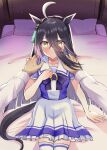  ahoge animal_ears bed black_hair blush commentary_request hair_between_eyes highres horse_ears horse_girl horse_tail looking_at_viewer manhattan_cafe_(umamusume) numachi_doromaru pillow pov pov_hands school_uniform tail thighhighs tracen_school_uniform umamusume yellow_eyes 