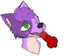  4:3 animal_genitalia animal_penis anthro bodily_fluids canid canine canine_penis canis cringefurryartist cum cum_drip cum_in_mouth cum_inside dripping fellatio fur genital_fluids genitals green_eyes headshot_portrait hi_res knot male male/male mammal oral penile penis portrait purple_body purple_fur sex shine(cringefurryartist) wolf 