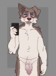  alternate_species anthro balls beau_(beuazone) blue_eyes border_collie brown_body brown_fur canid canine canis collie domestic_dog foreskin fur genitals herding_dog hi_res holding_object holding_phone humanoid_genitalia humanoid_penis looking_at_viewer male mammal pastoral_dog penis phone rielle sheepdog solo taking_picture tongue tongue_out vein veiny_penis white_body white_fur 