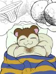  2022 3:4 anthro blush bodily_fluids body_hair butt butt_hair clothed clothing cricetid drooling erection erection_under_clothing eyes_closed hamster hamtaro_(series) jockstrap lying male mammal moobs musclegut musk nipples pillow pompunks rodent saliva sleeping snoozer_(hamtaro) solo sweat underwear wet_dream 