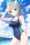  1girl animal_ear_fluff animal_ears bangs beach blue_archive blue_eyes blue_swimsuit breasts competition_swimsuit cowboy_shot cross_hair_ornament grey_hair hair_ornament halo hayana_neru highres horizon leaning_forward medium_breasts medium_hair mismatched_pupils ocean one-piece_swimsuit outdoors shiroko_(blue_archive) shiroko_(swimsuit)_(blue_archive) solo swimsuit wet 